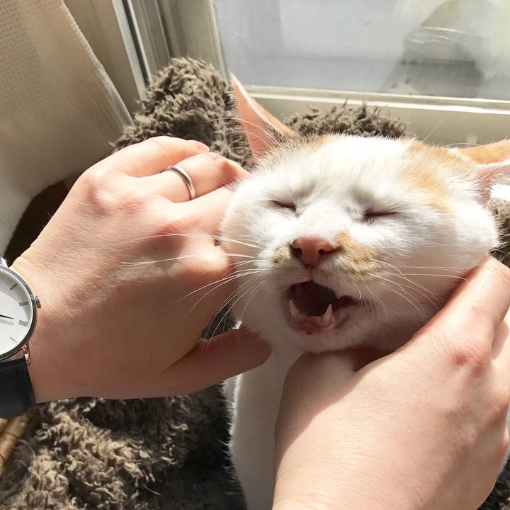 9e49057e d00f 4e97 8314 6c761151fb7c