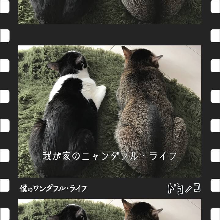 9e491e23 e85f 46d4 aac1 494870c13448