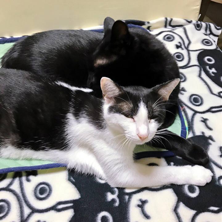 9e4986be f028 4000 952c 12ac7eee4d66