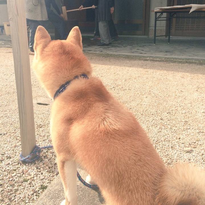 9e4a6c93 f0bc 4b48 8057 012b68e45373