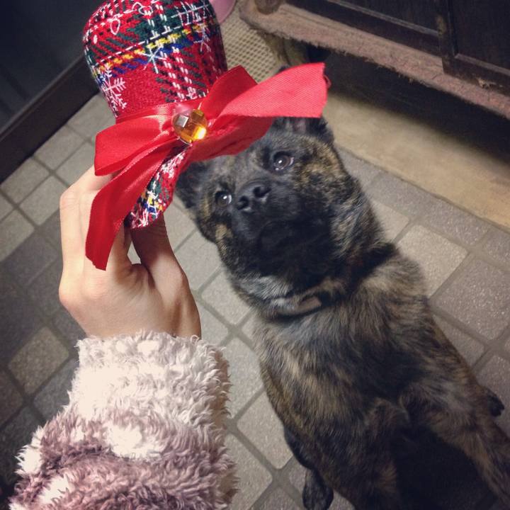 9e4abf33 744a 4979 9e3d ba1ed003363d