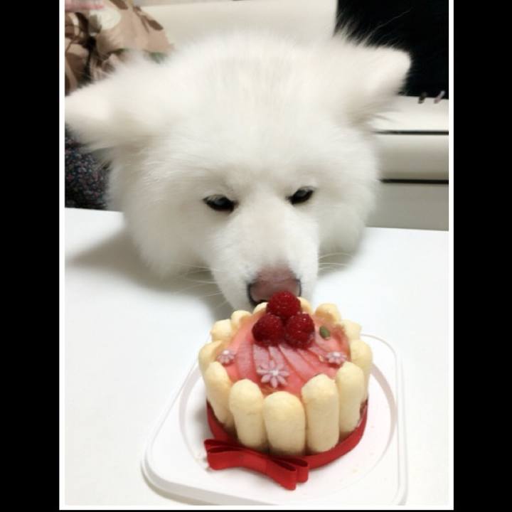 9e4b565e 4b44 491b 9971 a7d8423b8aae