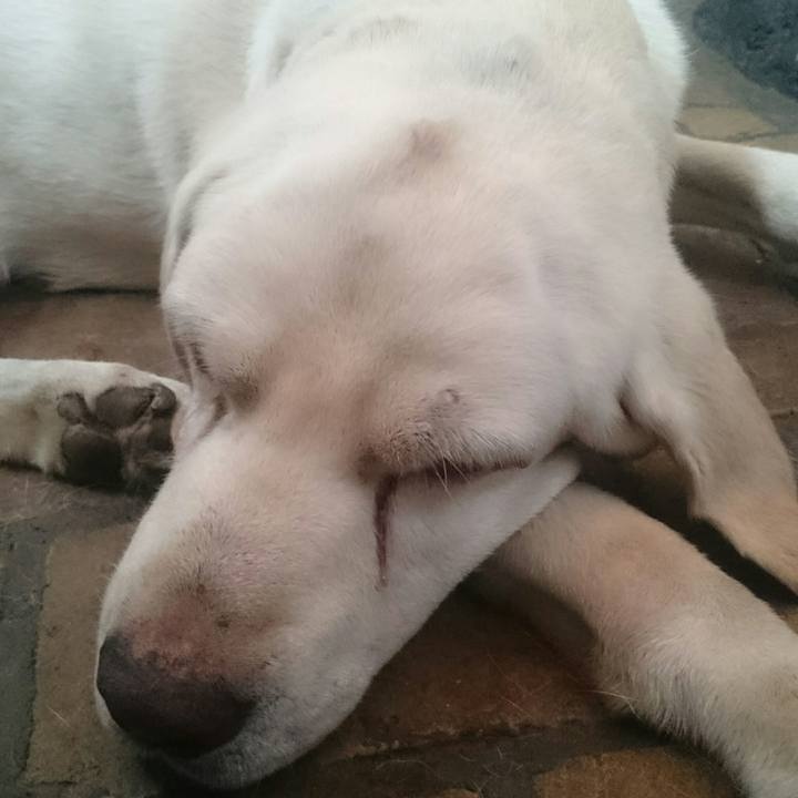 9e4b83e2 af89 4d3b 90dd 378e33abb971