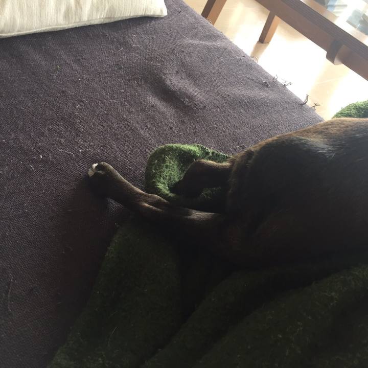 9e4be628 2250 46d1 80d8 ca8a76fef506