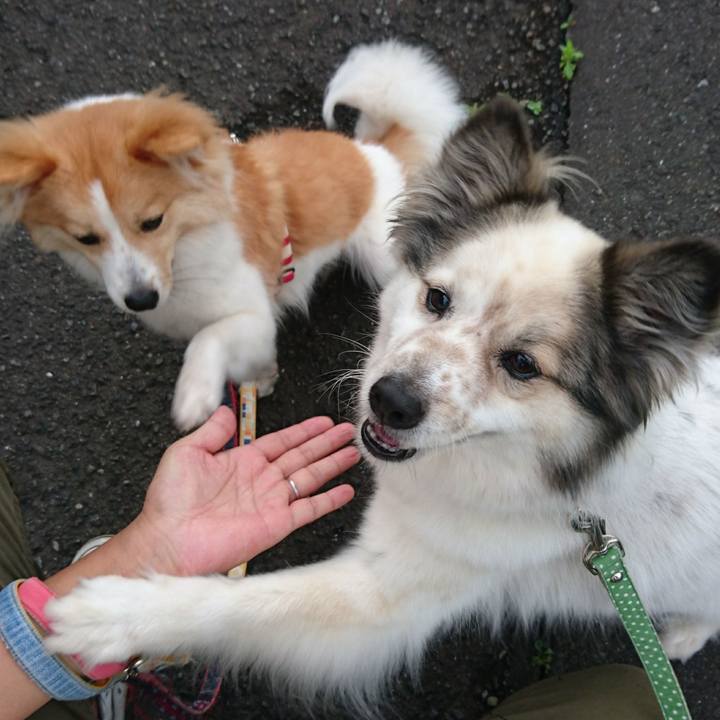 9e4c352a cbb1 4749 bce6 88028148d7cf