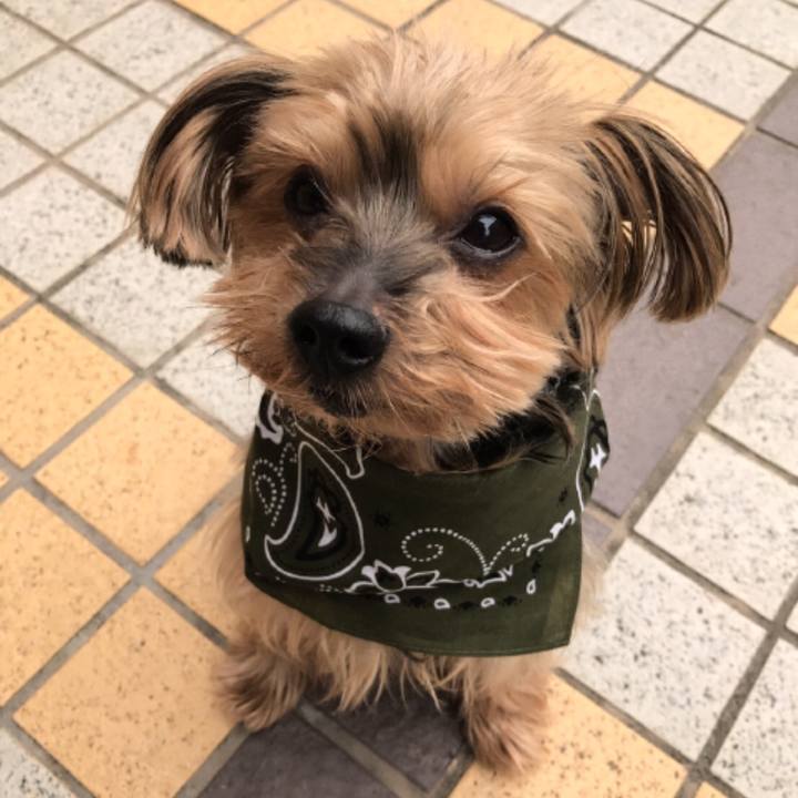 9e4c9314 d7da 44dc 99e4 76a9ca3e34a1