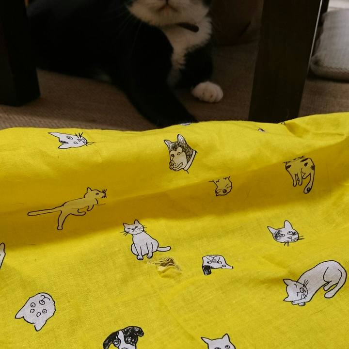 9e4e1472 d380 4f81 aa00 9955a259abf2