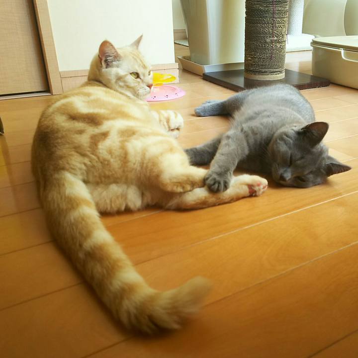 9e4ea7c2 8b70 4f55 9c34 dd26b0806028