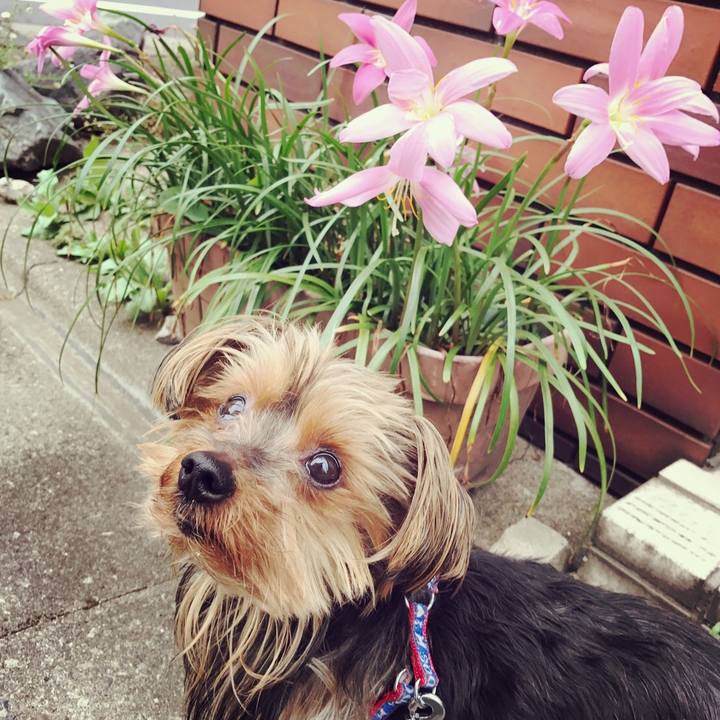 9e4ed27f d3be 42c7 8090 73f11743097f