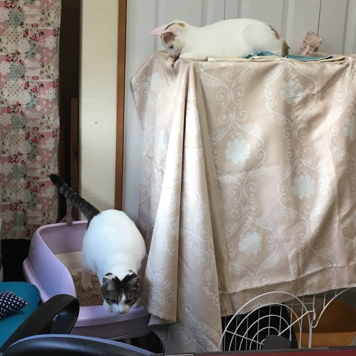 9e4f62a8 e9c5 45aa a4a2 524ec28e0f04