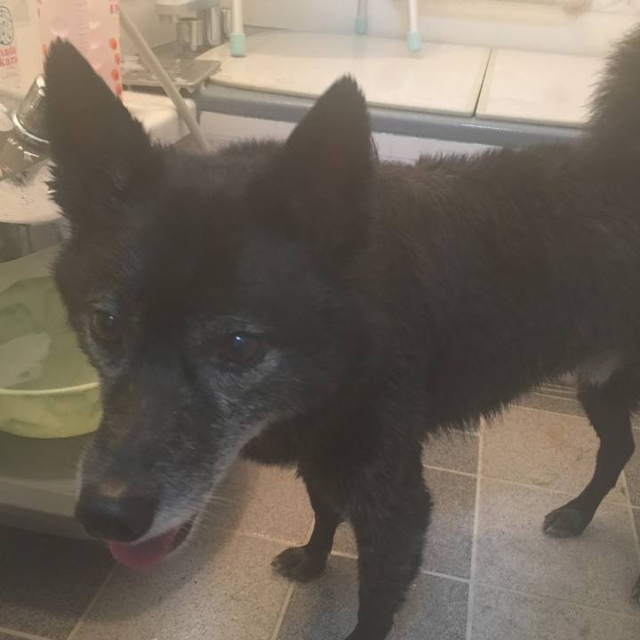 9e4f7617 4dab 4f35 b497 5f16dd0ad6c0