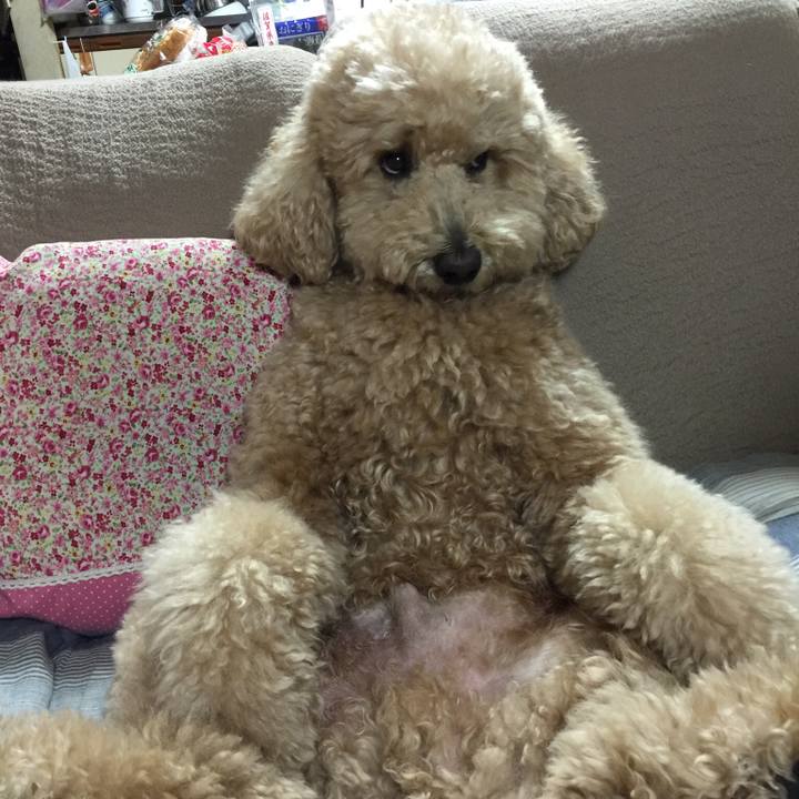 9e50295d 86df 49ea 8cec 5dda27b02569