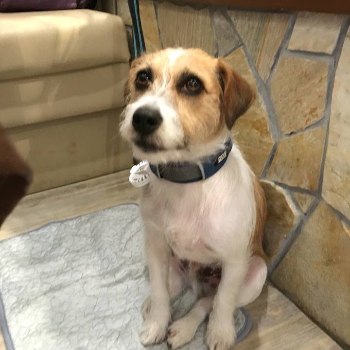 9e504c16 45ca 4658 a0f2 bd8d97e8bfae