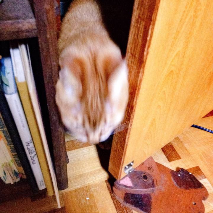 9e504e7a c645 4ed5 8909 5ffb042da944