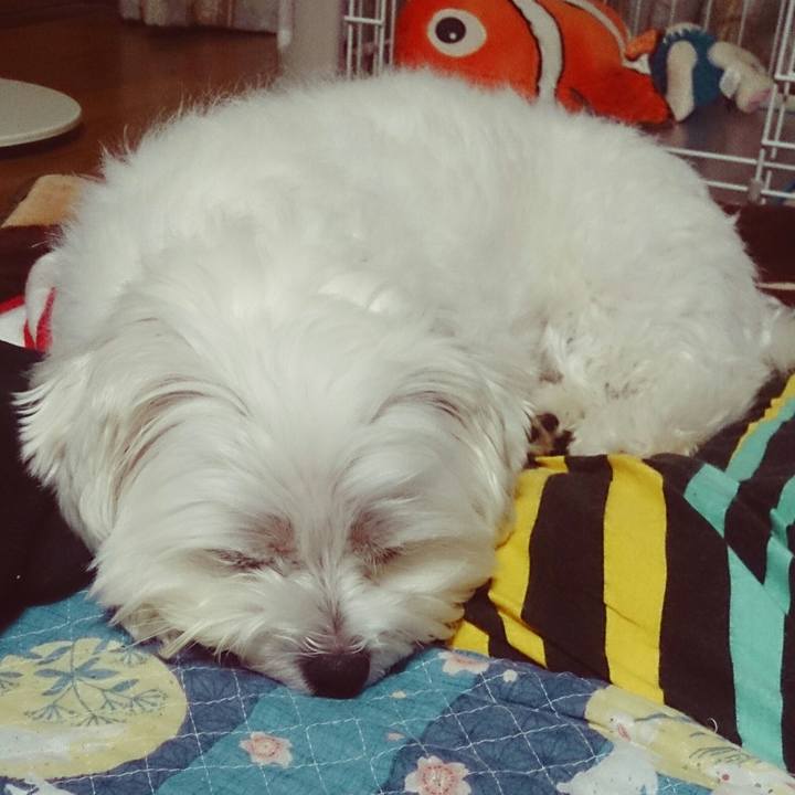 9e508e6c 8f0c 4fcc 8d39 85a819ded35d