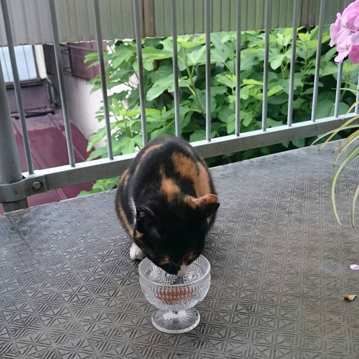 9e509dfc b49b 4394 b337 67e8e69552e1