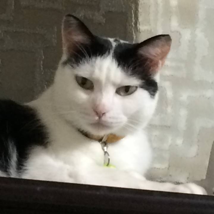 9e50c710 7227 4afb 9112 53eb4a161936