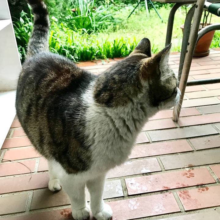 9e50cdcd 175d 4944 aee0 ab1039f2643b