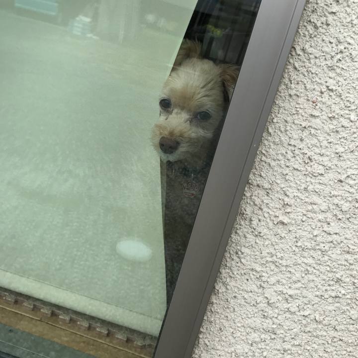 9e51653e 0e93 422a 827d 6e68913ba913