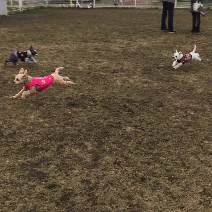 9e51c442 eee8 4254 bb59 61a69afc5ed5