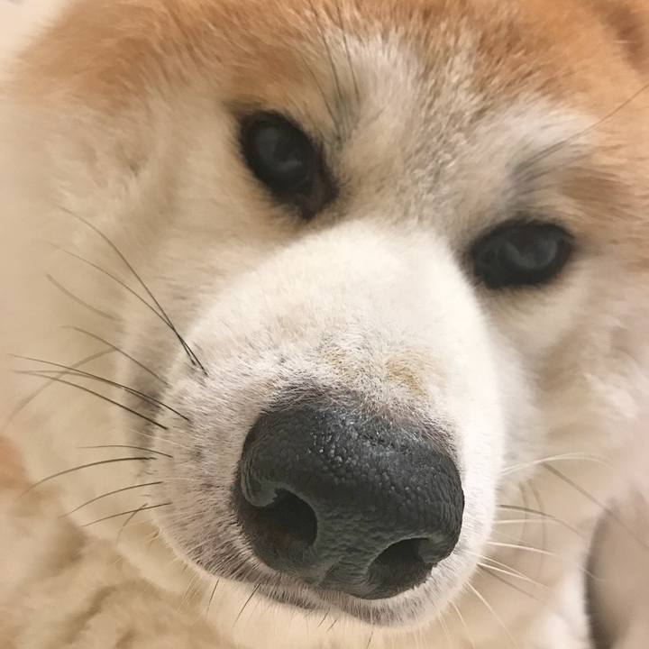 9e51e721 9393 4f26 81eb 3f24c6c3d401