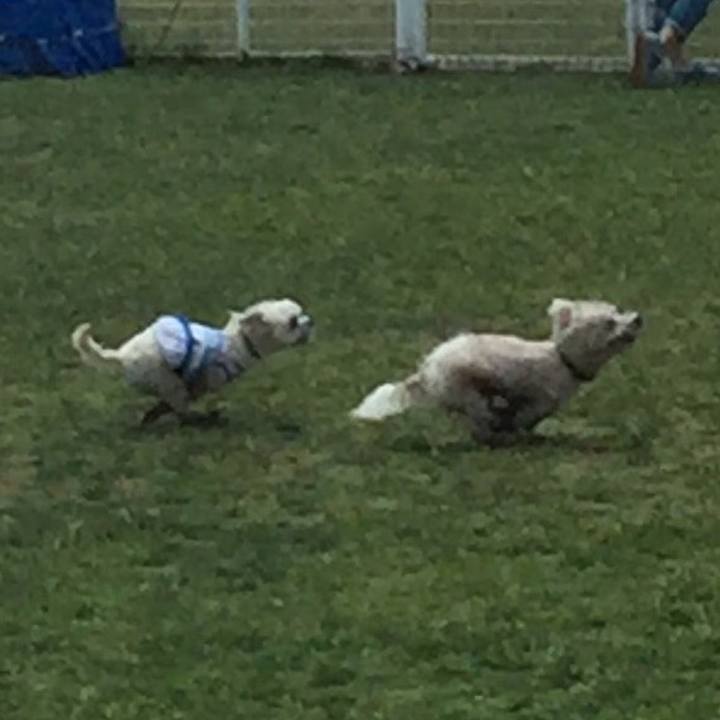 9e52034c e154 4fe2 9336 b48530156e1f