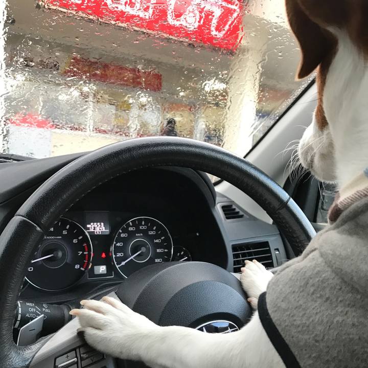 9e526962 ebf6 4c77 ac17 6dd16272959a