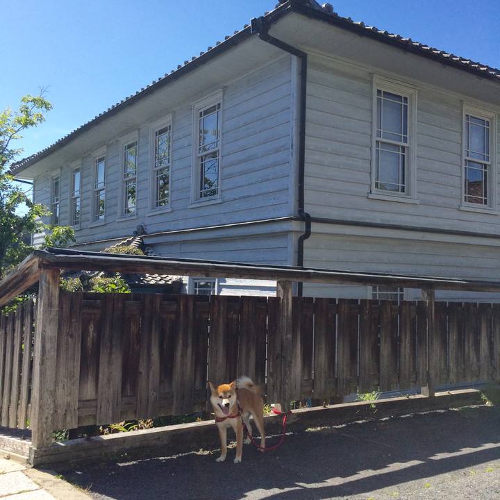 9e52c7aa c4e4 478c 8dd0 974da5c1ecab