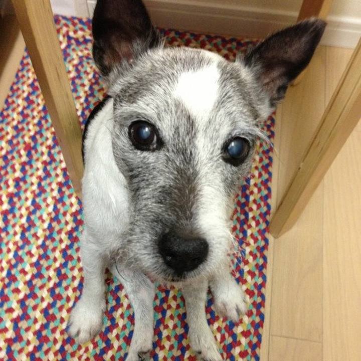 9e537c8c bda0 4d74 b555 6bc6053cbf9f