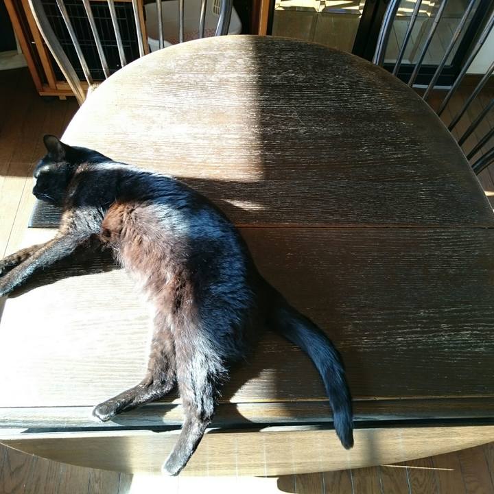 9e53ad6b 6c45 4784 87b0 e5a96b6f6851