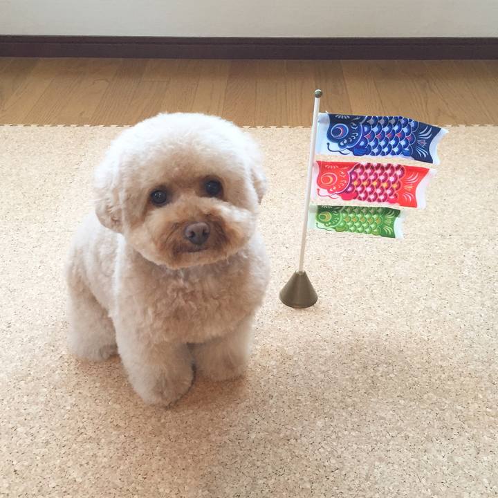 9e54321d 4cdc 475f ae9e 68ea7d5aa4e5