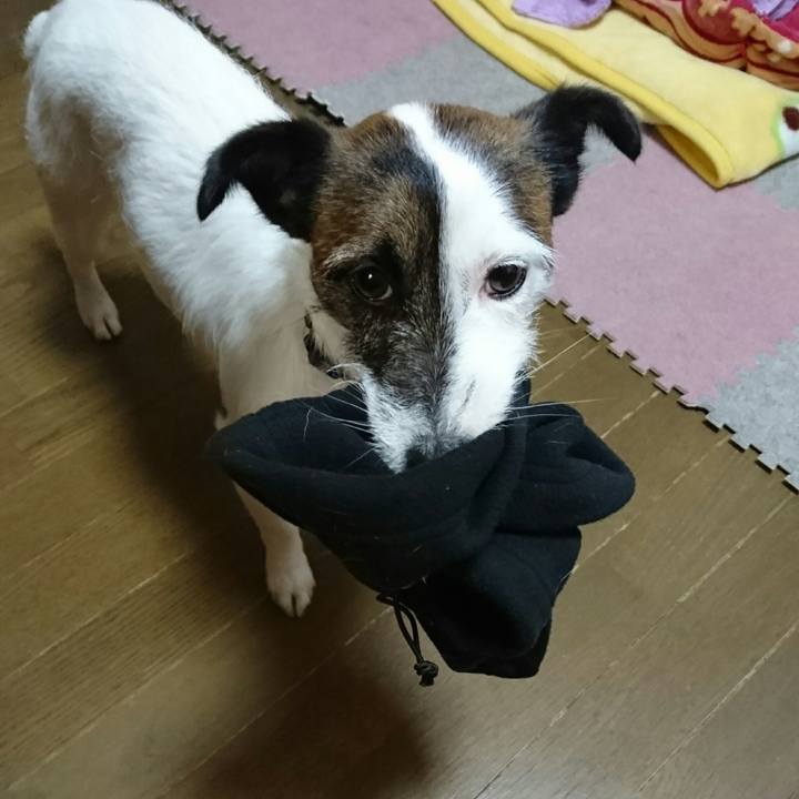 9e544069 44e3 4dba bdac 95ceb6695782