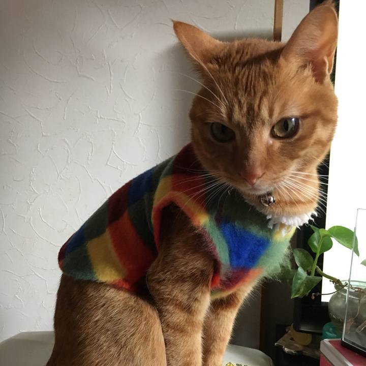 9e55e0bc a727 4491 875d 4af397124f4d