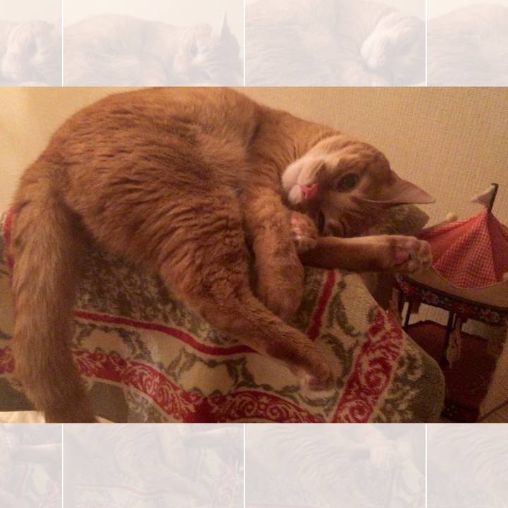 9e56d4d9 ac91 4dd7 a96d 24f01265ecfe