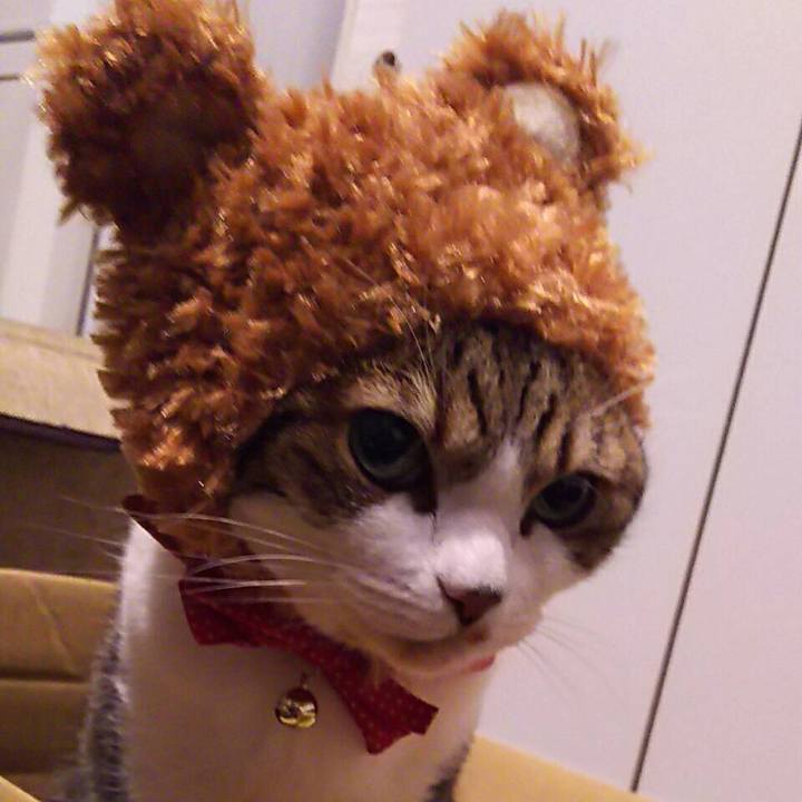 9e57c641 7e24 47ec a712 88caed73cb69