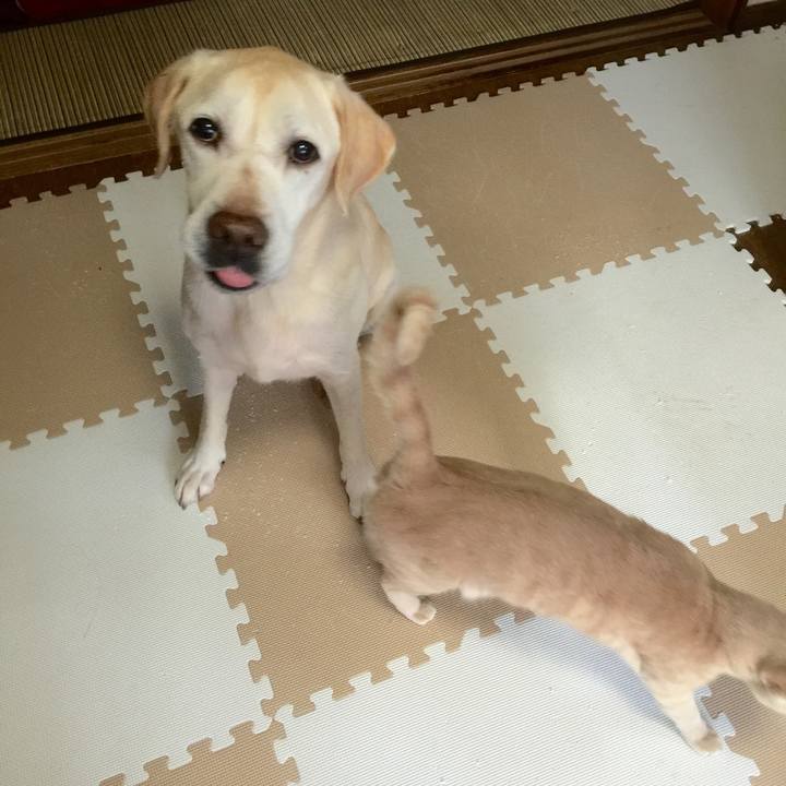 9e57ccf6 2120 49b7 93d2 720d1291f505