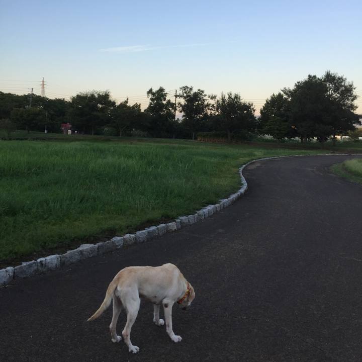 9e57d262 5986 41a2 b979 6a268e80b56b