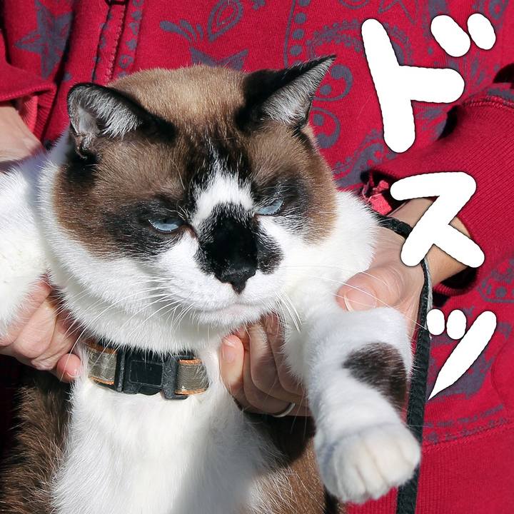 9e57e174 0cd2 482c a567 dee741d20e00