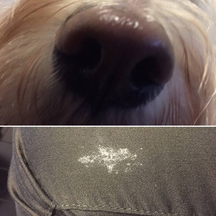 9e59db5e f6f6 4498 8b04 b95bd31edbb3