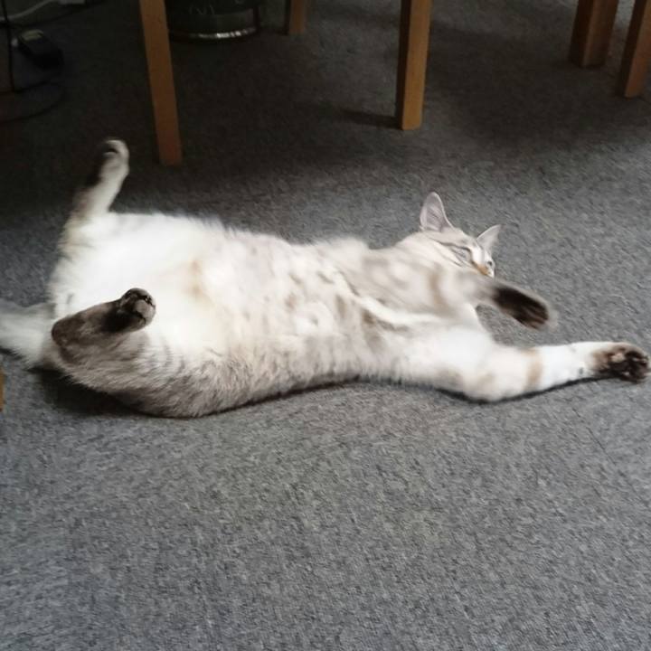 9e5a2610 c53b 4967 8427 965430f7e6f0