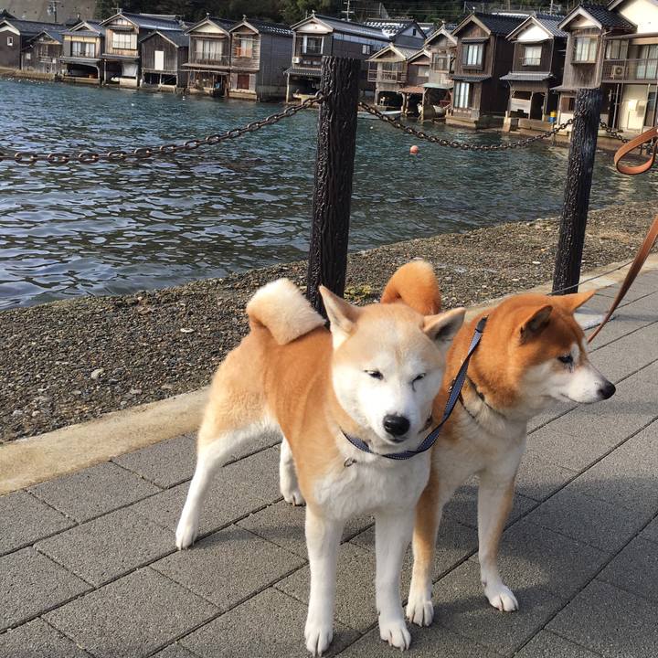 9e5aa286 40a5 44ae bbbf 664bdd937d90