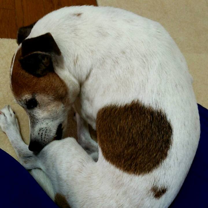 9e5aba02 d86b 4c1e be95 e43fe5a91ef5