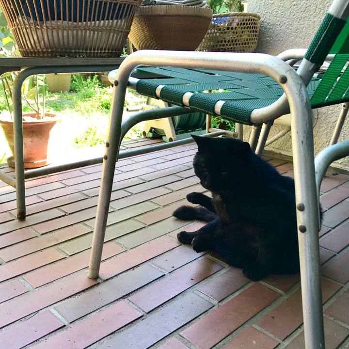 9e5be039 16bb 4676 831c 0da503cdc6ad