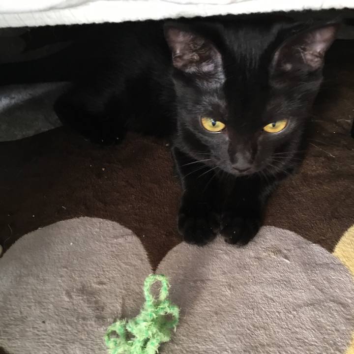 9e5c0cb9 fcf9 4a30 b170 8488eb1807ee