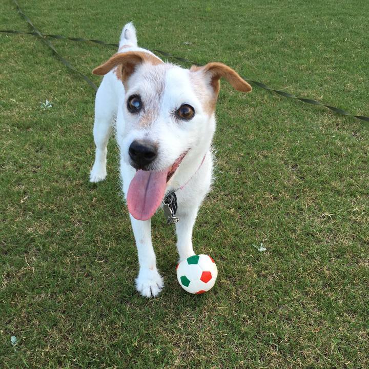 9e5c7d5f 589a 4dee a3b8 a40722f892e3