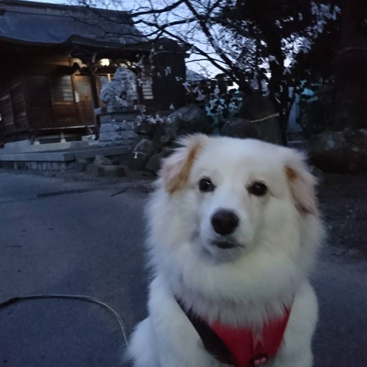 9e5cee18 5c5d 405f 95f8 c9e3041f29aa