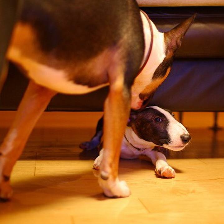 9e5d6366 cd0d 4fe9 9beb 6082a6e60c38