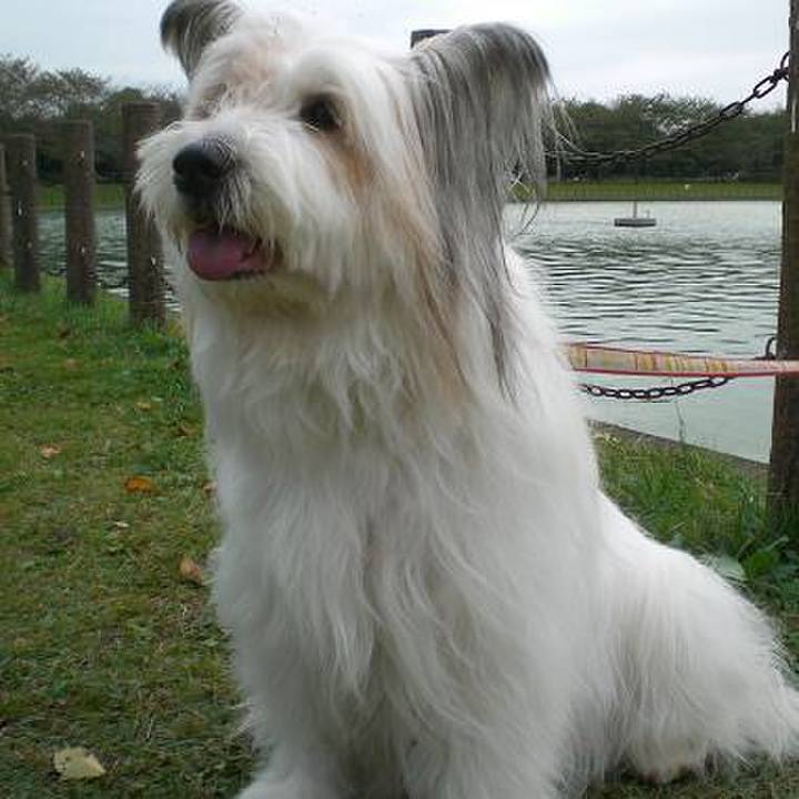 9e5d6d43 d055 443f 9381 f5b7ea156a4b