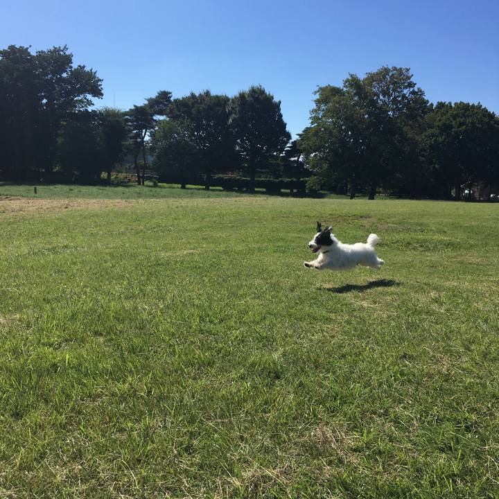 9e5dba0a e457 4e5a 8899 48a051b6c481