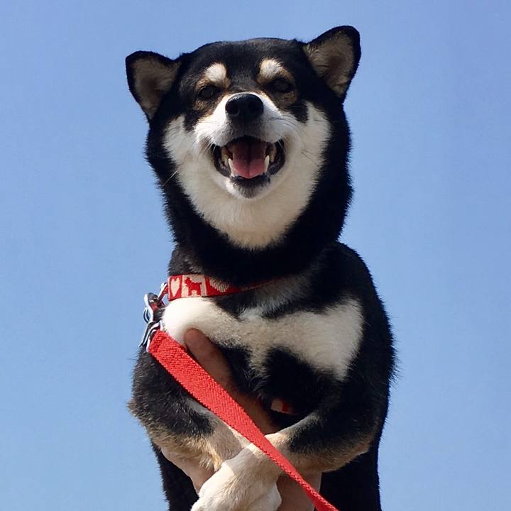 9e5ee1f1 843d 4f38 82f6 c520ad96f7e7